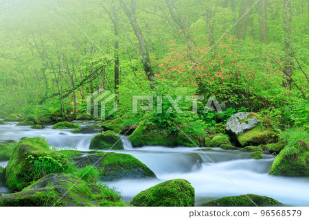 Aomori_Superb view of fresh green Oirase mountain stream 96568579