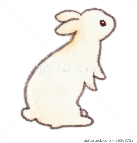 Rabbit watercolor illustration 96568722