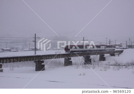 Snow monkey walking in the snow 96569120