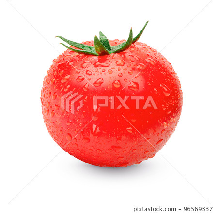 Fresh tomatoes with water drops isolated on white background Fresh tomatoes with water drops isolated on white background 96569337
