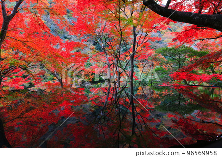 [Kyoto Prefecture] Water Mirror and Autumn Leaves at Arashiyama Yusaitei 96569958