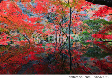 [京都府]嵐山遊採亭的水鏡與紅葉 96569959