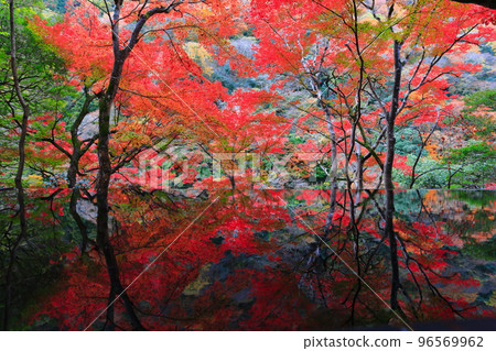 [京都府]嵐山遊採亭的水鏡與紅葉 96569962