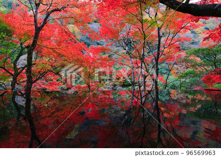 [京都府]嵐山遊採亭的水鏡與紅葉 96569963