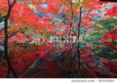 [京都府]嵐山遊採亭的水鏡與紅葉 96569964