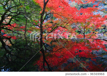 [Kyoto Prefecture] Water Mirror and Autumn Leaves at Arashiyama Yusaitei 96569968