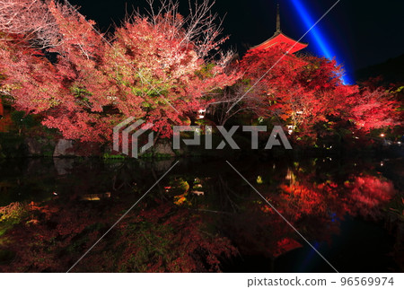 [京都府]對稱的清水寺三層寶塔和紅葉點亮 96569974