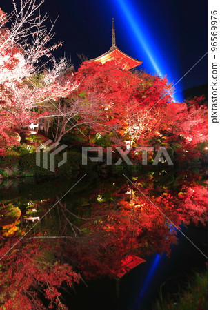 [Kyoto Prefecture] Symmetrical Kiyomizu-dera three-storied pagoda and colored leaves light up 96569976