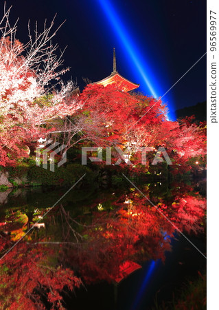 [Kyoto Prefecture] Symmetrical Kiyomizu-dera three-storied pagoda and colored leaves light up 96569977