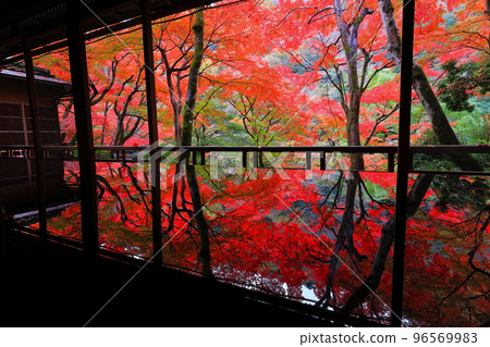 [京都府]從川端康成在嵐山遊採亭的房間看到的紅葉 96569983