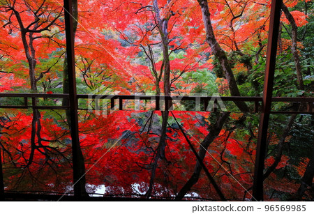 [Kyoto Prefecture] Autumn leaves seen from Yasunari Kawabata's room at Arashiyama Yusaitei 96569985