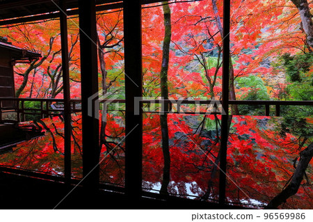 [Kyoto Prefecture] Autumn leaves seen from Yasunari Kawabata's room at Arashiyama Yusaitei 96569986