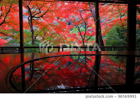 [Kyoto Prefecture] Autumn leaves seen from Yasunari Kawabata's room at Arashiyama Yusaitei 96569991