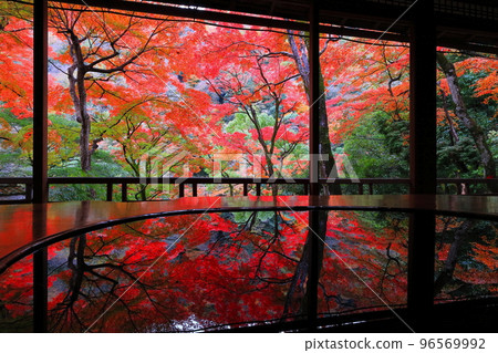 [Kyoto Prefecture] Autumn leaves seen from Yasunari Kawabata's room at Arashiyama Yusaitei 96569992