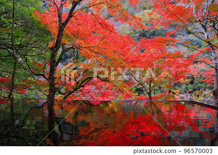 [京都府]嵐山遊採亭的水鏡與紅葉 96570003