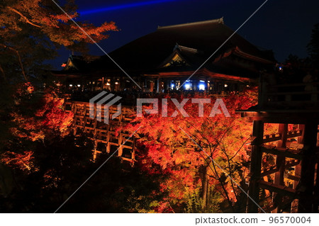 [京都府]清水舞台和紅葉燈飾（清水寺） 96570004