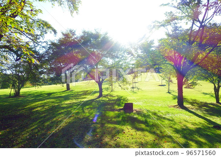 Wild Grass Garden Yamagata City 96571560