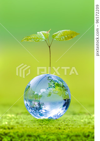3D illustration Renewable energy concept Earth Day or environmental protection Protect the forests that grow on the ground and help save the planet. 96572209