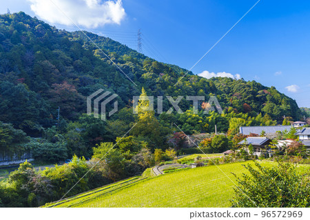 奄美站周邊的里山風景 奄美站周邊的里山風景 96572969