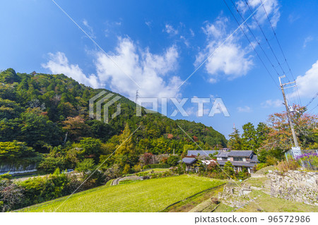 Satoyama scenery around Amami Station 96572986