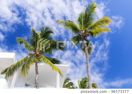 Palm trees near white villa are under blue cloudy sky Palm trees near white villa are under blue cloudy sky 96573377