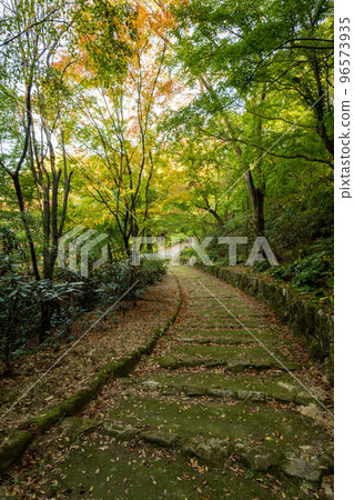 熊本風景與美麗的秋葉 96573935