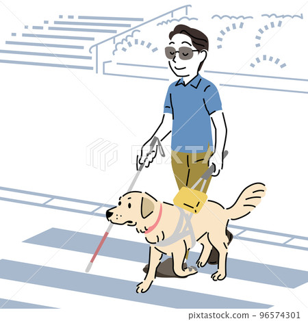 Seeing eye dog crossing a pedestrian crossing with a simple touch 96574301