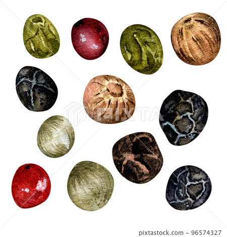 Set of peppercorns watercolor illustration isolated on white background. 96574327