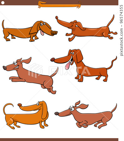cartoon dachshunds purebred dogs animal characters set cartoon dachshunds purebred dogs animal characters set 96574355