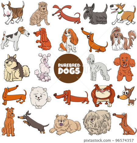 cartoon purebred dogs and puppies characters big set 96574357
