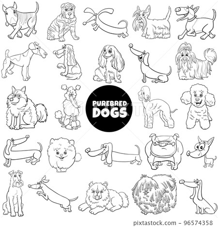 black and white cartoon purebred dogs and puppies characters set 96574358