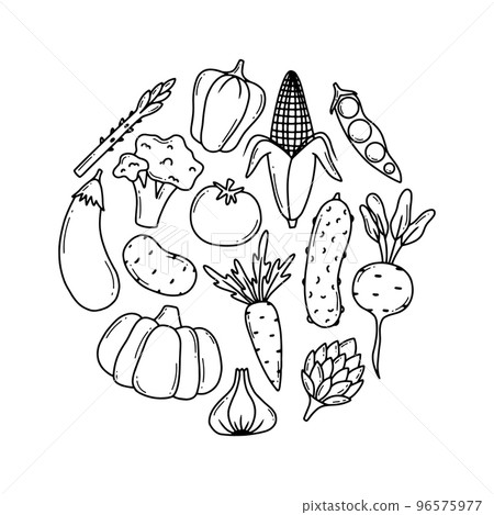 Doodle vegetables vector set. Collection of vegetables broccoli, corn, pepper, onion, garlic, asparagus. Hand-drawn style isolated on white background. Doodle vegetables vector set. Collection of vegetables broccoli, corn, pepper, onion, garlic, asparagus. Hand-drawn style isolated on white background. 96575977