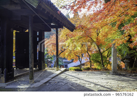 秋月美麗的秋月城遺址（福岡縣朝倉市） 96576162