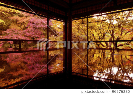 權威Rurikoin 96576280