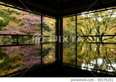 權威Rurikoin 96576281