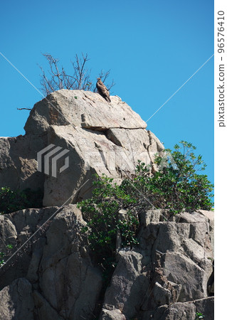 Hashiguiiwa 岩石和風箏在秋天的天空 Hashiguiiwa 岩石和風箏在秋天的天空 96576410