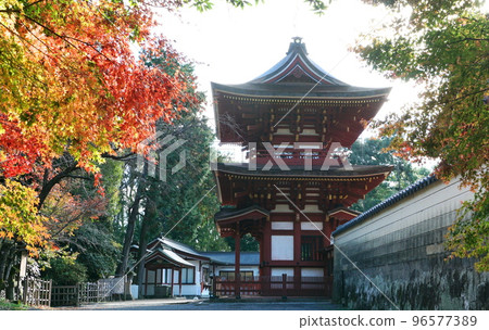 幕府將軍神社 96577389