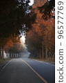 Metasequoia in late autumn seen in Sandjae, Jinan, Jeollabuk-do 96577769