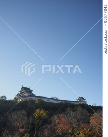 和歌山城初秋的早晨(和歌山縣和歌山市) 和歌山城初秋的早晨(和歌山縣和歌山市) 96577849