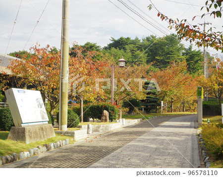 廣島縣尾道市的風景(秋葉)10 月 廣島縣尾道市的風景(秋葉)10 月 96578110