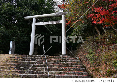 Motoise Naiku Kotaijinja Shrine的秋葉 96578615