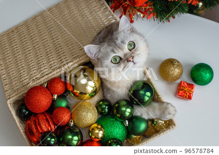 A white cat lies in a wicker basket near a Christmas tree, in multi-colored Christmas balls 96578784