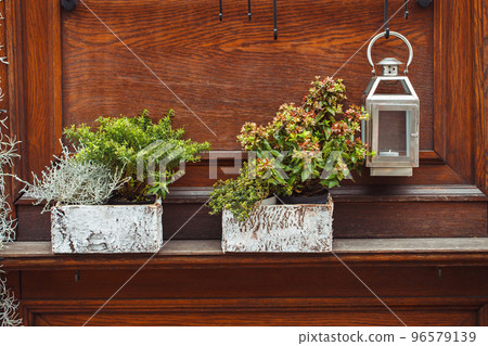 Fall and winter outdoor plants in boxes at flower shop. Winter and Christmas outdoor decoration with flower pots and lantern Fall and winter outdoor plants in boxes at flower shop. Winter and Christmas outdoor decoration with flower pots and lantern 96579139