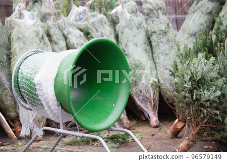 Pines and blue netting tube at farm market, no people. Buying Christmas tree and transportation concept. Selective focus, close up, copy space Pines and blue netting tube at farm market, no people. Buying Christmas tree and transportation concept. Selective focus, close up, copy space 96579149