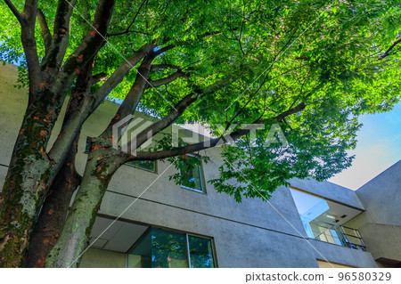 [Urban scenery of Tokyo] Urban scenery around Daikanyama 96580329