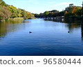 Peaceful Inokashira Park 96580444