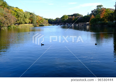 Peaceful Inokashira Park Peaceful Inokashira Park 96580444