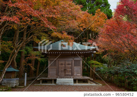 Chinkokuji Chohoin Daishido Autumn leaves 96580452