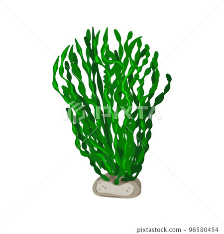 tank aquarium plant cartoon vector illustration tank aquarium plant cartoon vector illustration 96580454