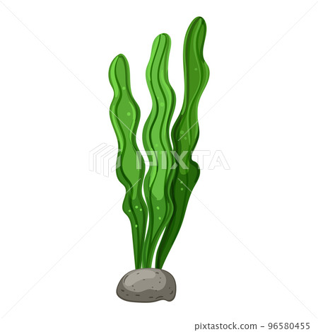 tropical aquarium plant cartoon vector illustration tropical aquarium plant cartoon vector illustration 96580455